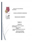 Megacolon congénito