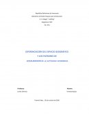 DIFERENCIACIÓN DEL ESPACIO GEOGRÁFICO Y LOS PATRONES DE LOCALIZACION de la actividad económica