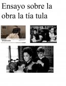 ENSAYO DE LA OBRA LA TIA TULA