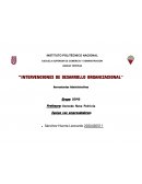 Intervenciones de desarrollo organizacional