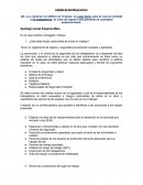 EJERCICIO PRÁCTICO RIESGOS ESPARZA S.A