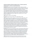 GUIÓN DE AUDIENCIA PROCESO SUMARIO HASTA LA FASE DE ALEGATOS