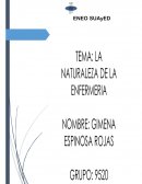 La naturaleza de la enfermería