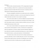 REFLEXION PELICULA PASANTE DE MODA