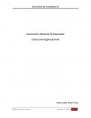 Ejemplo de Estructura Organizacional de Proyectos - HJFP