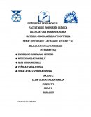 Historia de la caña de azúcar y su aplicación en la confitería