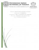 Caso Eggo Kitchen & House