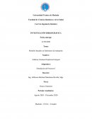 Modelos basados en fenómenos de transporte