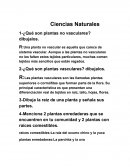 Ciencias Naturales.Plantas