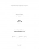 Reflexión Escrita Dimesiones del Ser . Administración en Seguridad y Salud en el Trabajo
