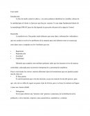 Ensayo de fase medir seis sigma