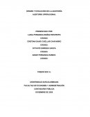 Origen y Evolución de la Auditoría (Colombia)