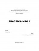 Practica nro 1, compu