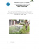 PLAN DE TRABAJO institucional PARA LA VIGILANCIA Y CONTROL DEL VECTOR DE LEISHMANIASIS Y BARTONELOSIS EN EL DISTRITO DE PULAN - 2020
