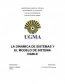 Dinámica de Sistemas y Sistemas Viables Enmanuel Farreras