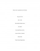 Síntesis sobre el significado de mi Profesión. Proyecto de Vida