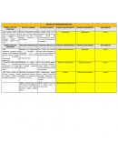 MATRIZ DE PROBLEMATIZACIÓN