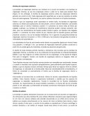 Bombas de engranajes exteriores