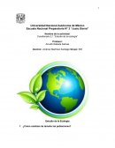 Cuestionario 2.1 “Estudio de la ecología”