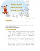 Sustitución nucleofílica aromática