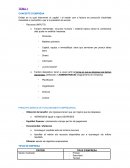 CONCEPTE D’EMPRESA