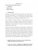 Flujo de caja. Proyecto: Elaboración de bebida de amaranto