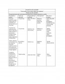 Campaña vida saludable