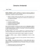 Fundamentos Derecho Ambiental