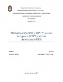 Multiplexacion SDH y SONET