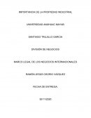 Importancia de la Propiedad industrial