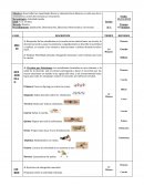 MICRO CLASES teoria y practica de la edc. física
