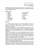 Meditaciones Metafísicas