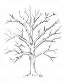 Tarea 1 de psicologia