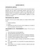 AMPARO DIRECTO DEFINICIÓN DE AMPARO