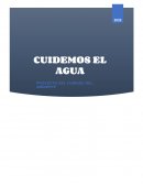 Los principales contaminantes