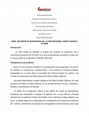 INCIDENTE DE SUSPENSION DE LA CONTROVERSIA CONSTITUCIONAL