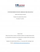 PUNTOS DETERMINANTES DEL LIDERAZGO ORGANIZACIONAL