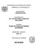 Ensayo Presupuesto de efectivo