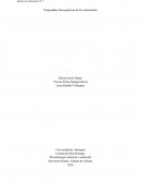 Propiedades fisicoquímicas de los aminoácidos