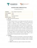 Plan de desarrollo profesional