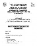 EL CUIDADO DE ENFERMERÍA AL PACIENTE GERONTO - GERIATRA ANÁLISIS DEL VIDEO “EL GORRIÓN”
