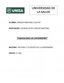 Ensayo de paradigmas de enfermeria