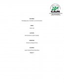 Estrategia para el estudio y la comunicación