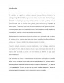 La Administración de Operaciones y las MIPYMES