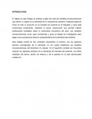 Análisis microeconomía