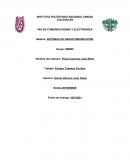 Emsayo talentos ocultos