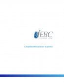 Autopistas Mexicanas en Argentina