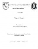 Parasitología “Atlas de Filarias”