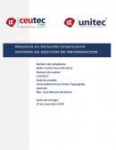 Mis Objetivos organizacionales Toyota Motor Corporación