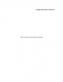 Teoría de la elasticidad de la demanda